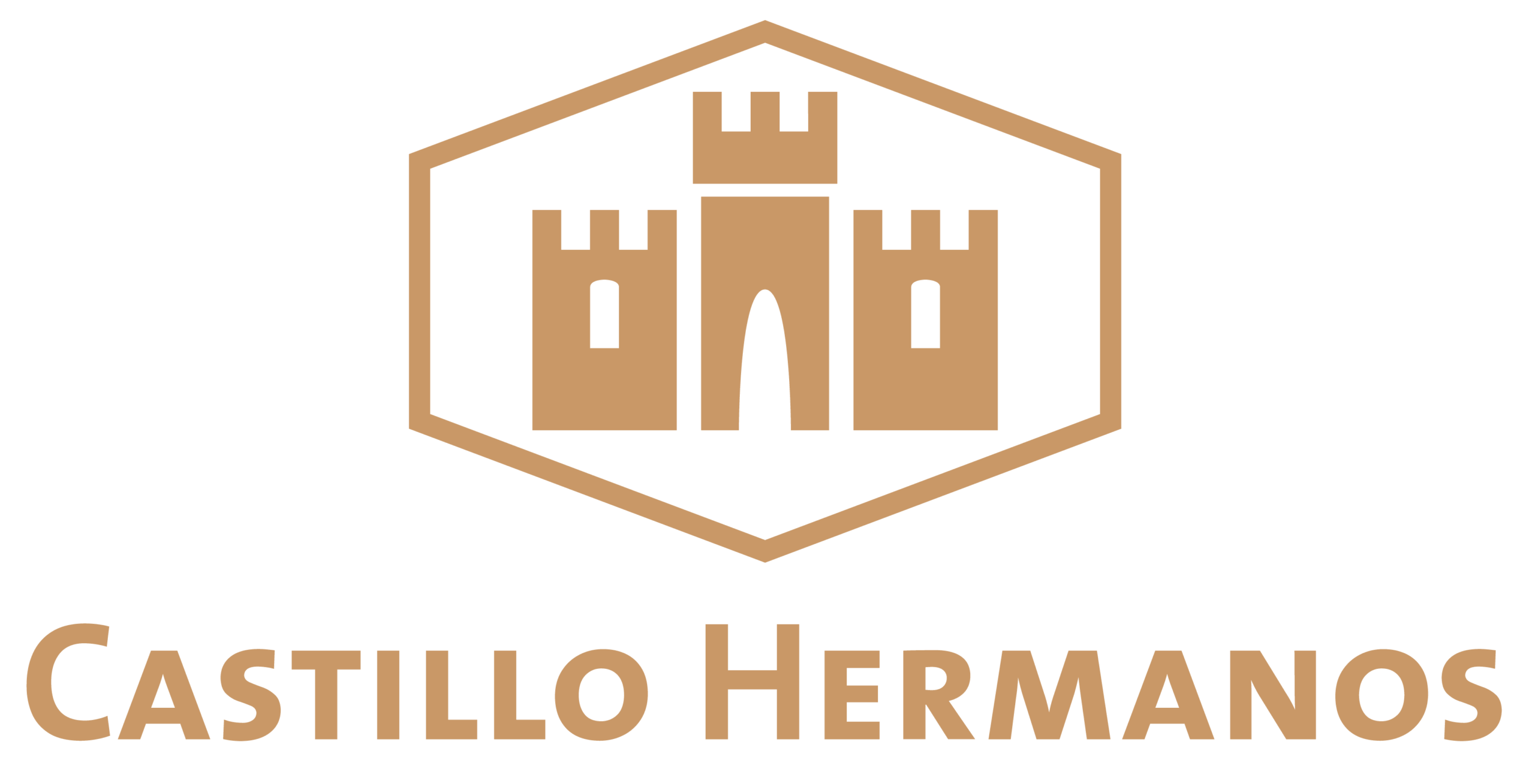 LOGOS PATROCINADORES-09